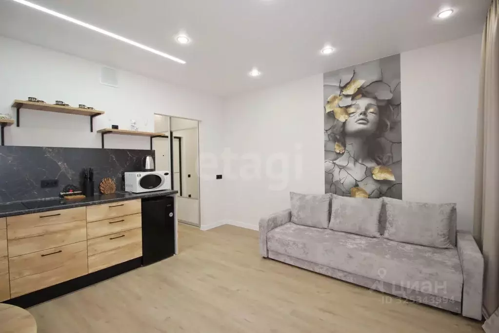 Студия Ульяновская область, Ульяновск ул. Юго-западная, 15 (27.0 м) - Фото 1