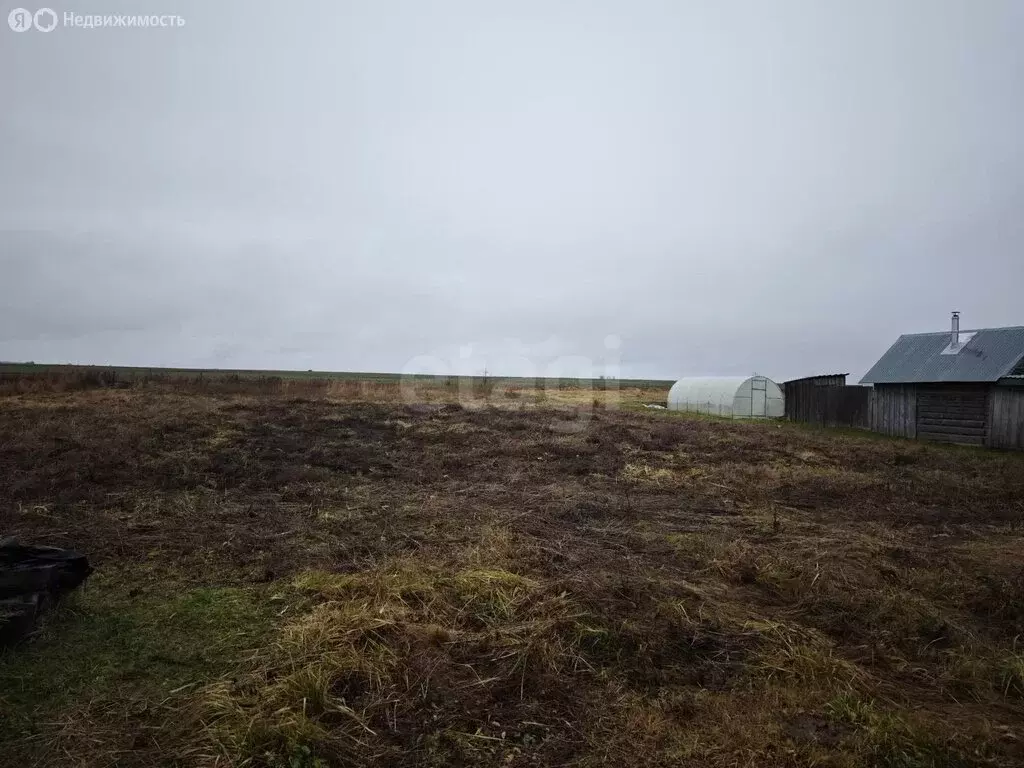 Участок в Красноярское сельское поселение, деревня Сосновка (15 м) - Фото 2