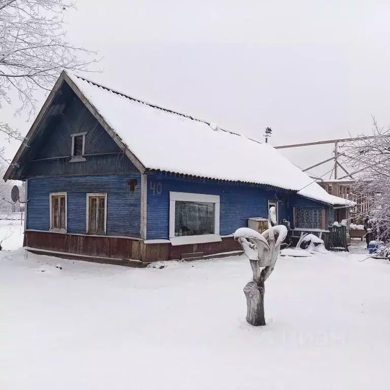 Дом в Ленинградская область, Волосово  (50 м) - Фото 0