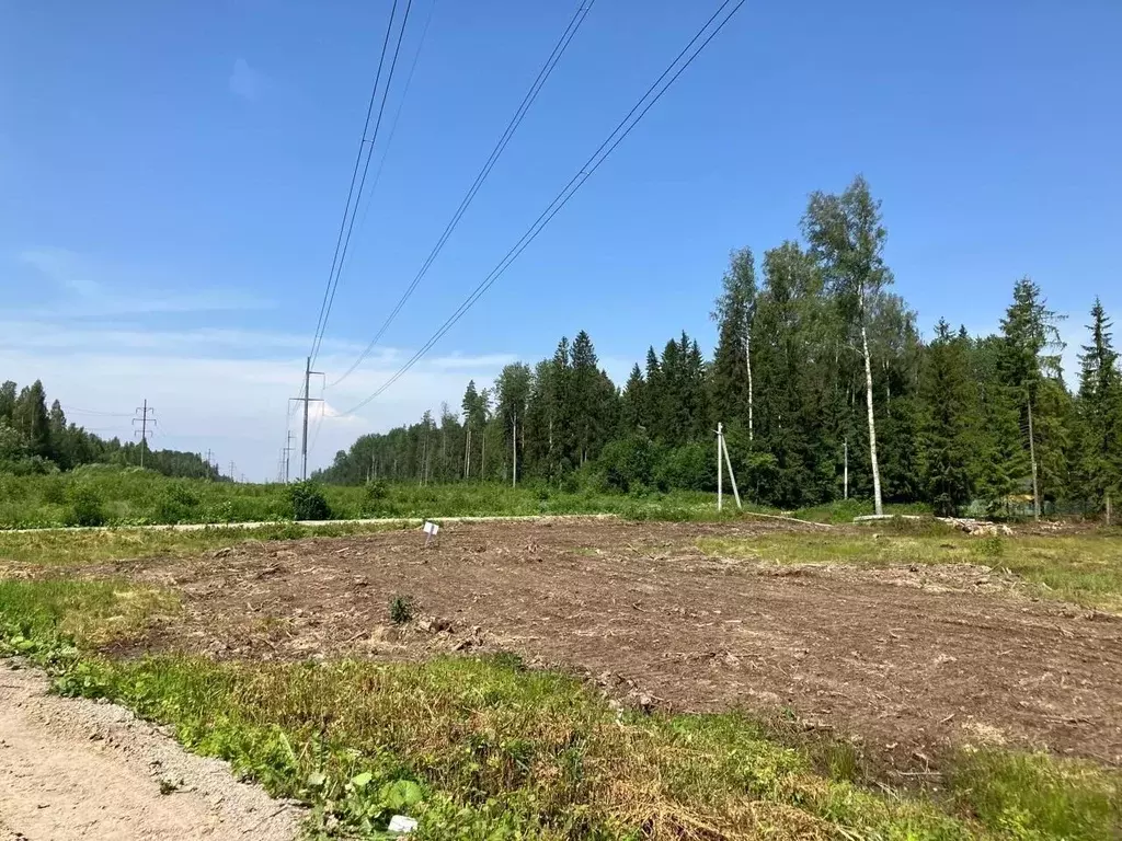 Участок в Ленинградская область, Ломоносовский район, Лопухинское ... - Фото 2