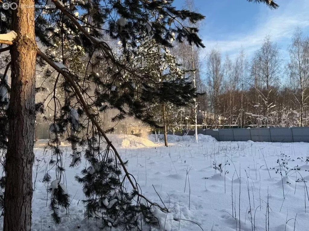 Участок в Чехов, Живописная улица (21 м) - Фото 1