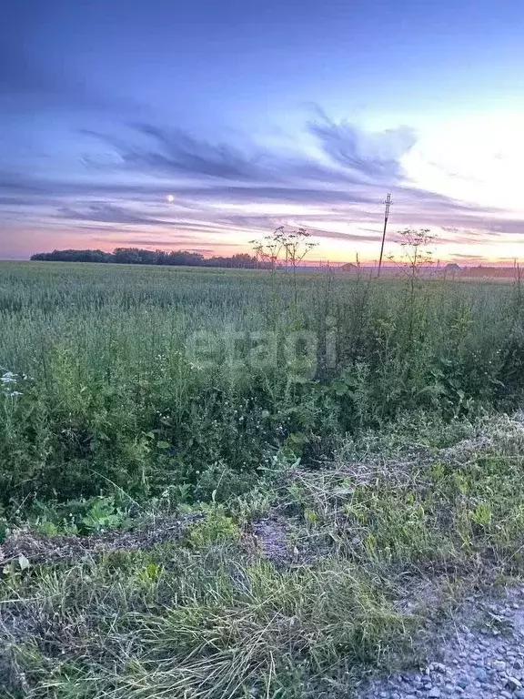 Участок в Ярославская область, Ярославский район, Кузнечихинское ... - Фото 1