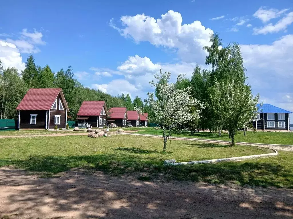 Дом в Тверская область, Осташковский муниципальный округ, д. Задубье  ... - Фото 1