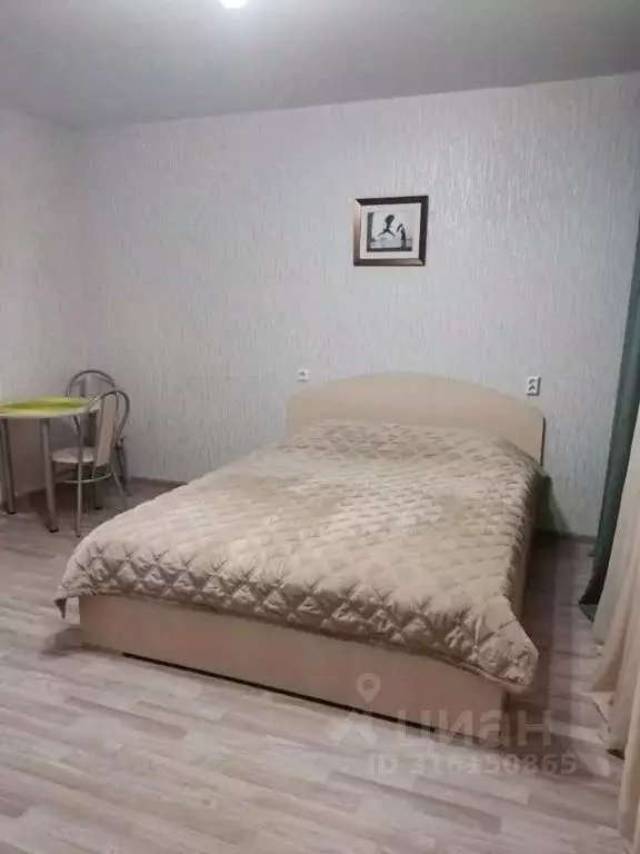 1-к кв. Челябинская область, Челябинск ул. Доватора, 1 (24.0 м) - Фото 1