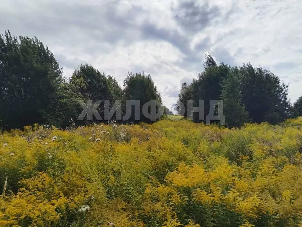 Участок в Брянская область, Брянск  (6.0 сот.) - Фото 0
