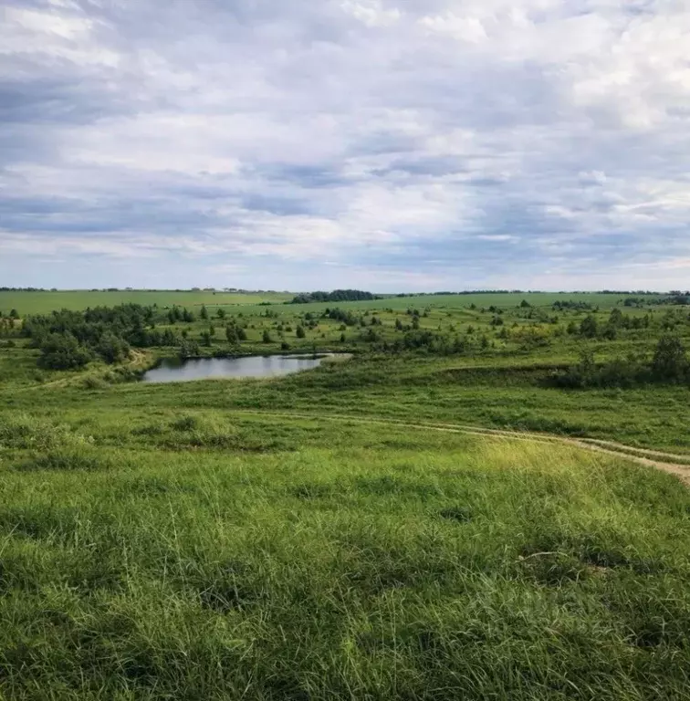 Дом в Нижегородская область, Богородский муниципальный округ, с. ... - Фото 1