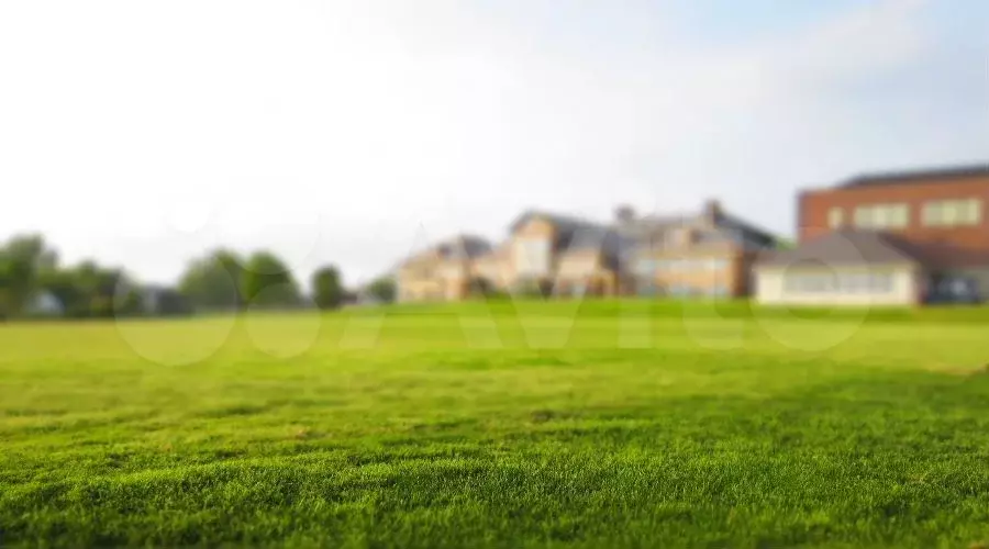 Участок 6,4 сот. (СНТ, ДНП) - Фото 0