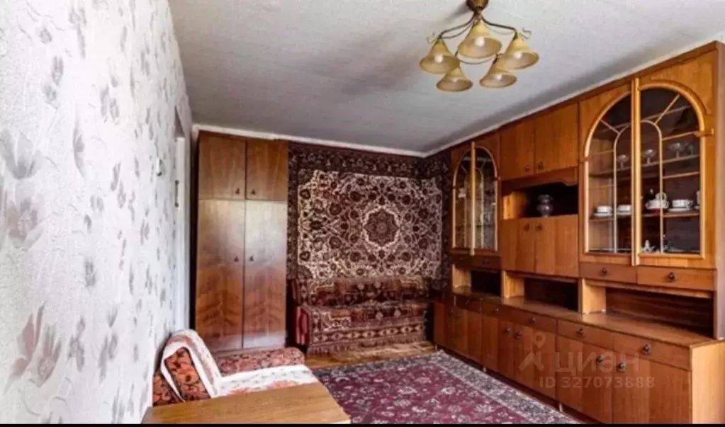 1-к кв. Московская область, Ногинск Богородский городской округ, ул. ... - Фото 2