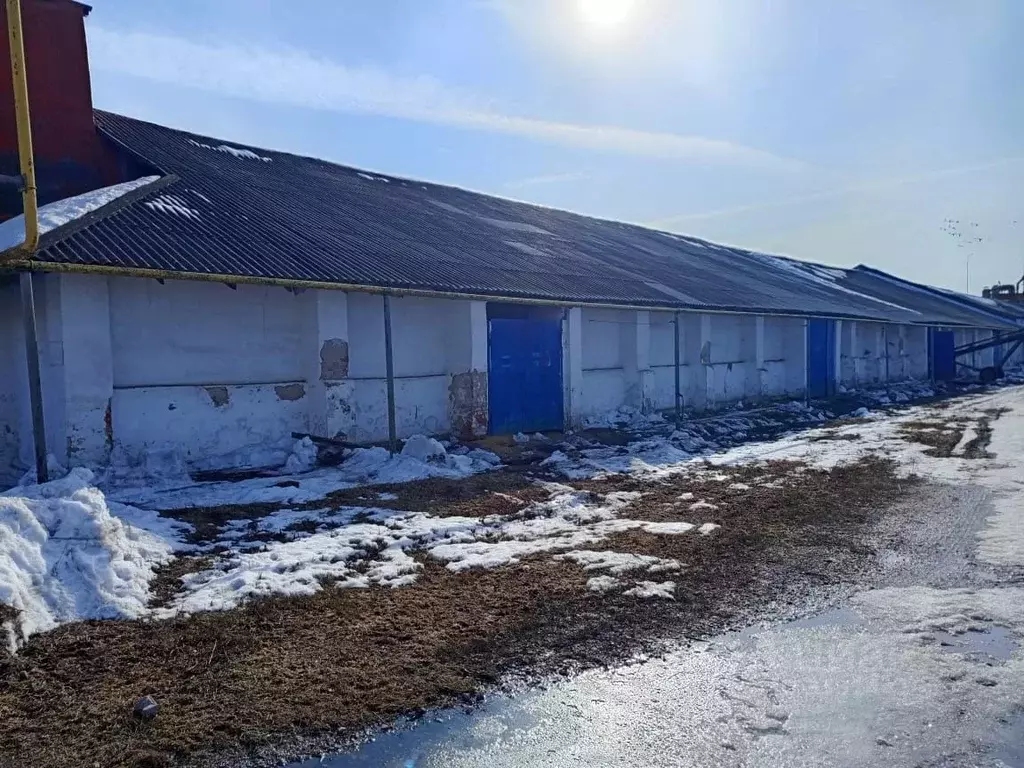 Помещение свободного назначения в Татарстан, Агрыз Казанская ул., 36А ... - Фото 1