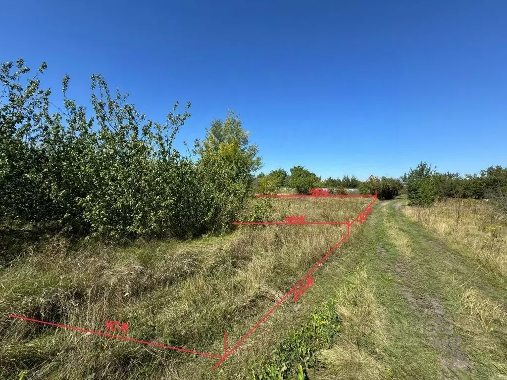 Участок в Воронежская область, Каширский район, Дзержинское с/пос, ... - Фото 2