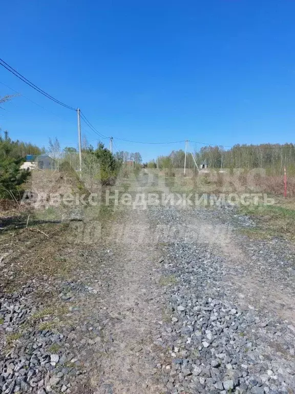 Участок в Тюменская область, Тюменский район, с. Червишево  (8.39 ... - Фото 2