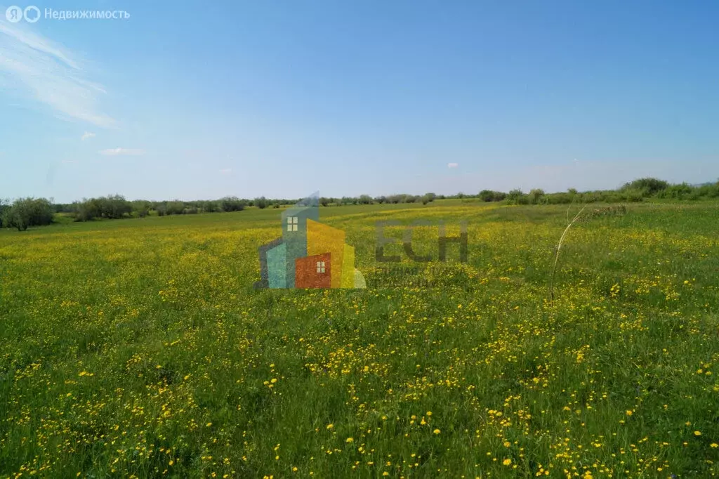 Участок в Московская область, Можайский муниципальный округ, ... - Фото 1