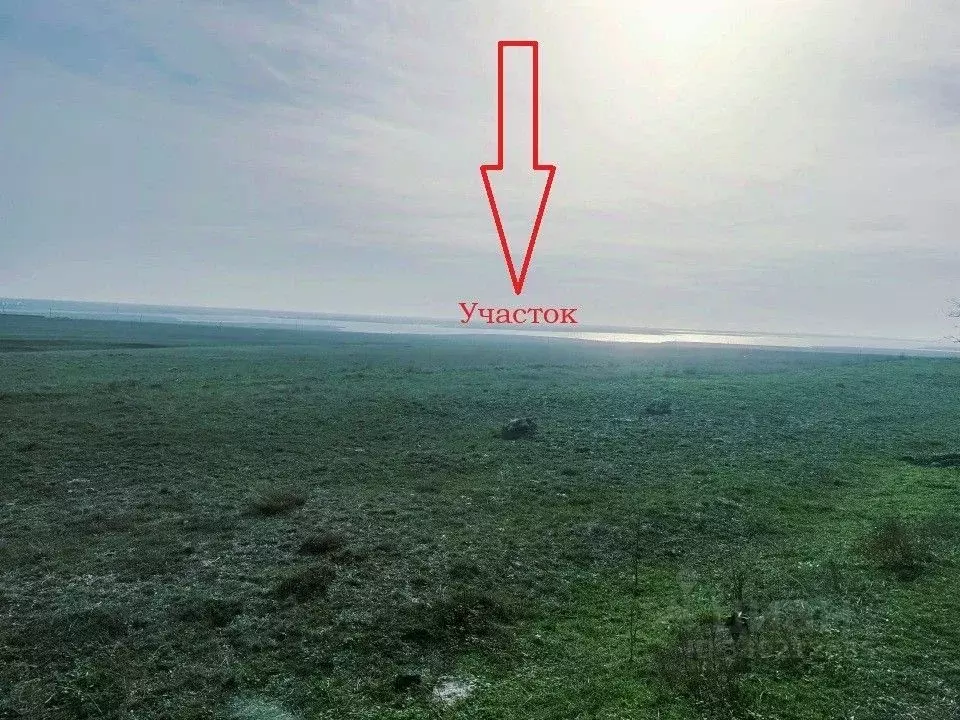 Участок в Крым, Черноморский район, с. Новоивановка ул. Целинная, 24 ... - Фото 1