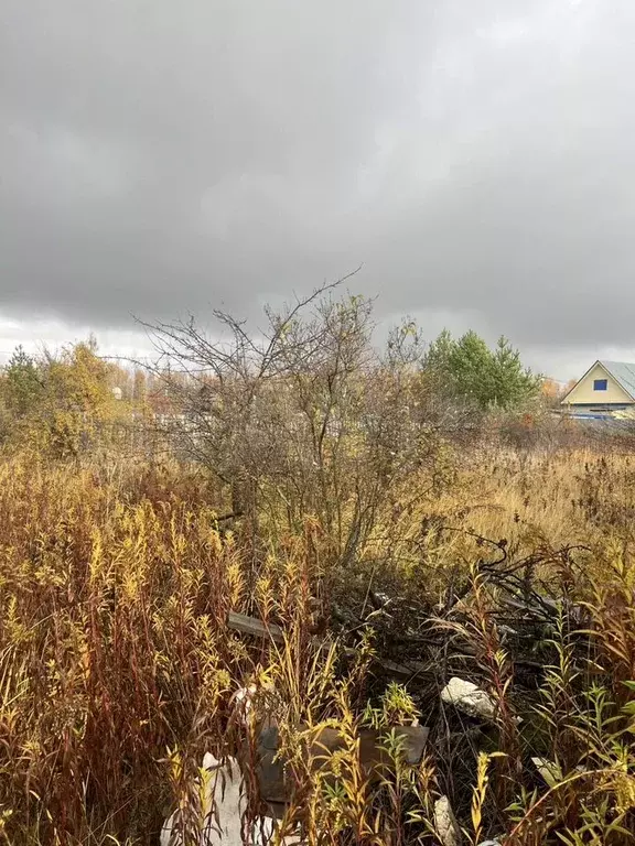 Участок 6 сот. (СНТ, ДНП) - Фото 1