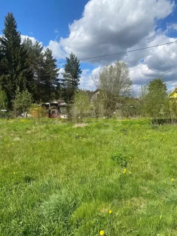 Участок в Ленинградская область, Кировский район, Мгинское городское ... - Фото 0