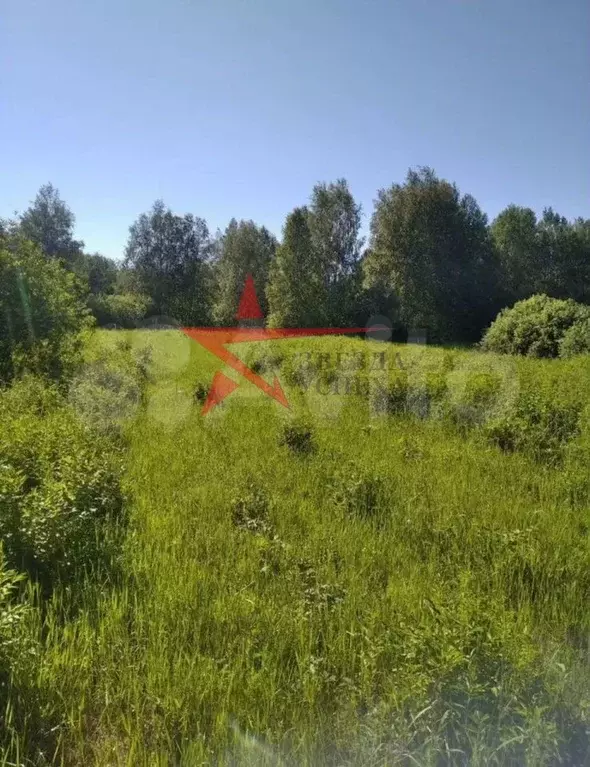 Участок 55 га (СНТ, ДНП) - Фото 1
