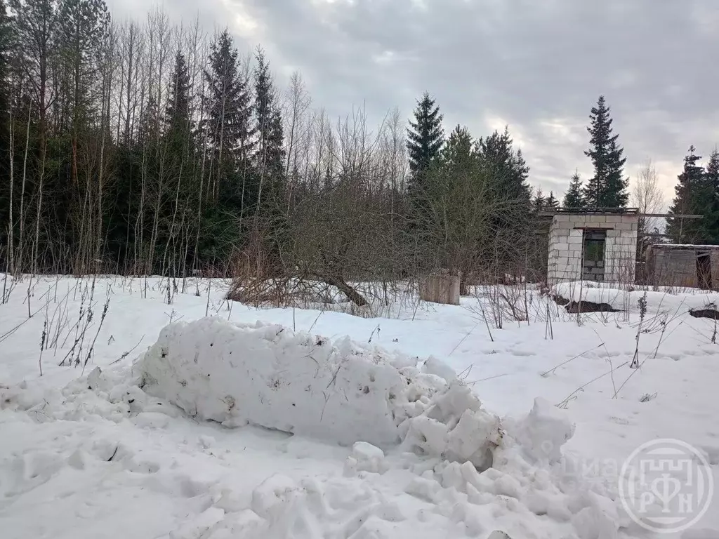 Участок в Ленинградская область, Кировский район, Отрадненское ... - Фото 2