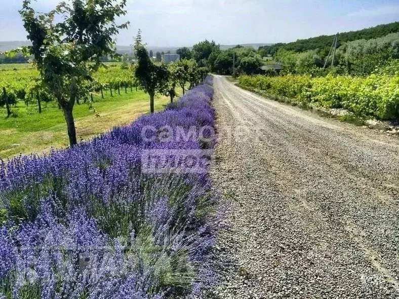 Участок в Краснодарский край, Новороссийск городской округ, ... - Фото 1