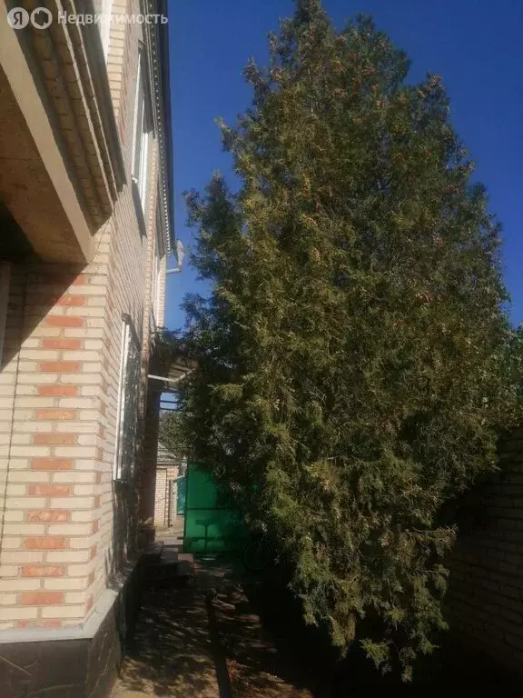 Дом в Каменск-Шахтинский, улица Ворошилова (120 м) - Фото 1