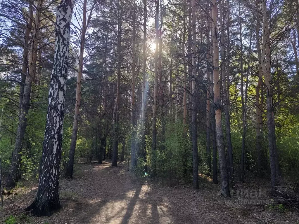 Участок в Омская область, Омск СОСН Строитель-84 тер.,  (10.0 сот.) - Фото 1