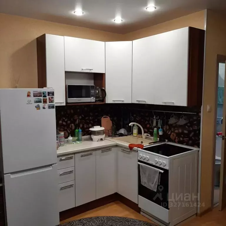 Студия Томская область, Томск ул. Розы Люксембург, 100 (24.0 м) - Фото 1