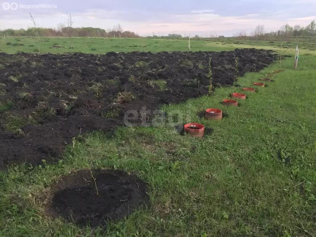 Участок в Республика Мордовия, городской округ Саранск, посёлок ... - Фото 0