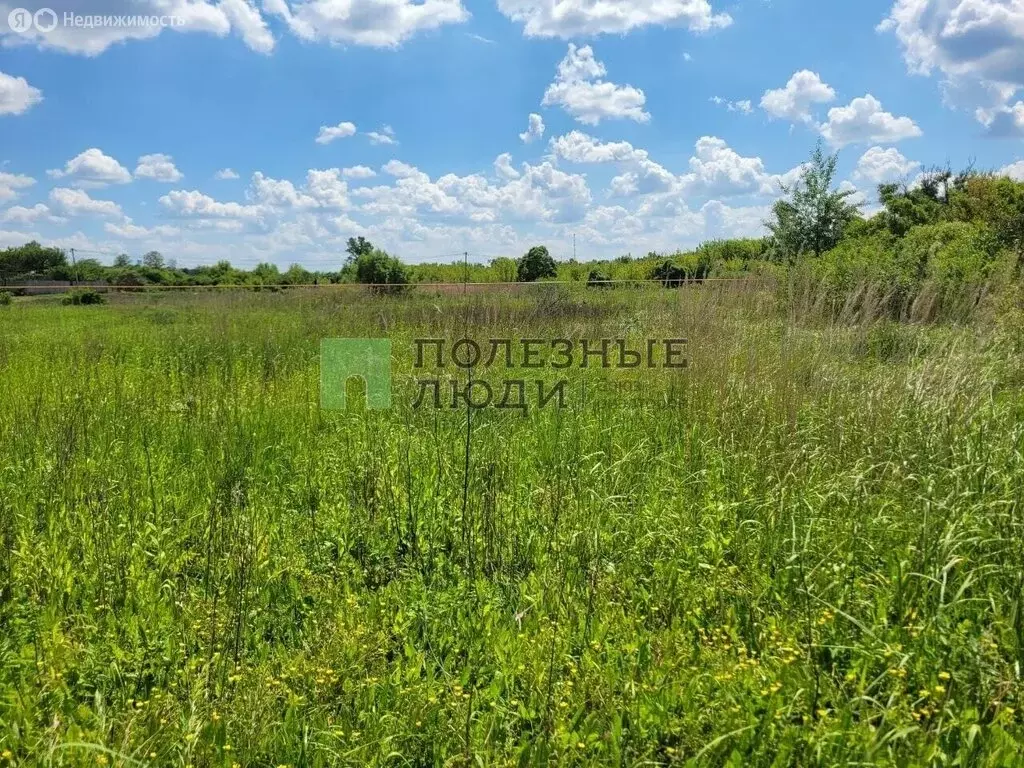 Участок в село Стрелецкое, Краснооктябрьская улица (17.2 м) - Фото 1