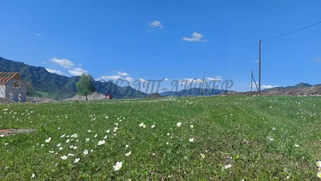 Участок в Алтай, Чемальский район, с. Чемал Советская ул. (12.0 сот.) - Фото 0