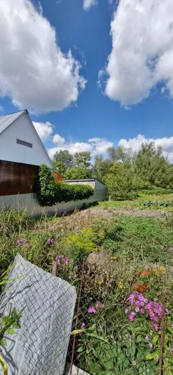 Дом в Брянская область, Выгоничи рп ул. Почепская (47 м) - Фото 2