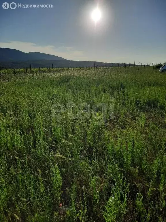 Участок в Краснодарский край, городской округ Геленджик, село ... - Фото 1