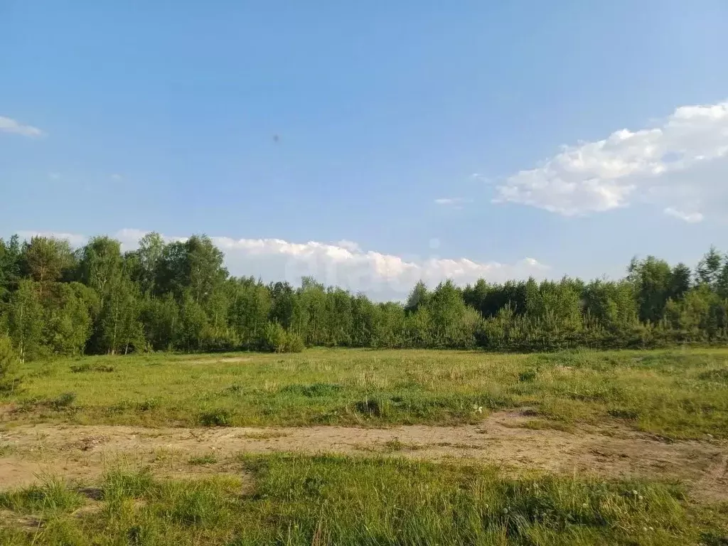 Участок в Владимирская область, Ковров ул. Олега Кошевого, 49 (7.3 ... - Фото 2