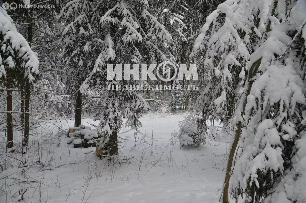 Участок в Московская область, Дмитровский муниципальный округ, деревня ... - Фото 2