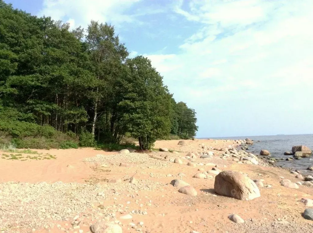 Участок в Ленинградская область, Выборгский район, Полянское с/пос, ... - Фото 1