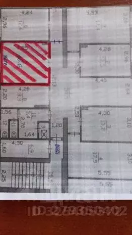 Комната Ленинградская область, Тосно г. Тосненский район, Тосненское ... - Фото 2