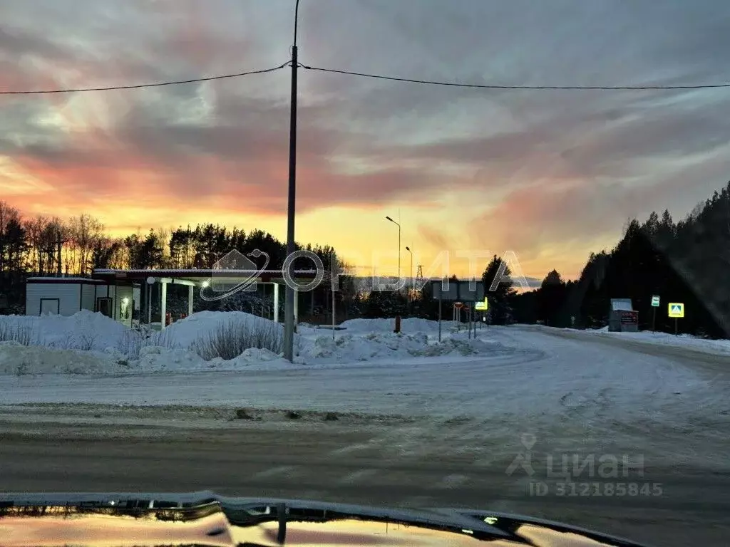 Участок в Тюменская область, Нижнетавдинский район, с. Тюнево  (10.0 ... - Фото 0