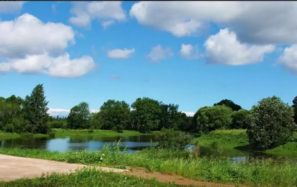 Участок в Ленинградская область, Ломоносовский район, д. Санино ул. ... - Фото 1