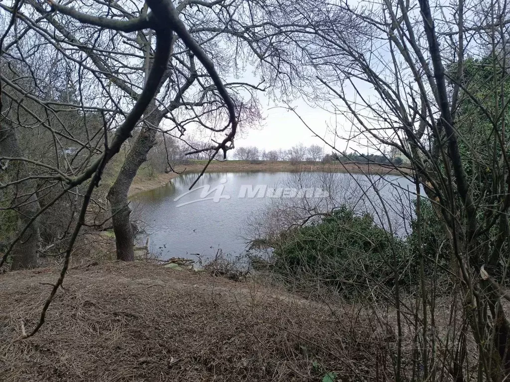Участок в Крым, Алушта муниципальный округ, с. Лавровое ул. Водоемная ... - Фото 1