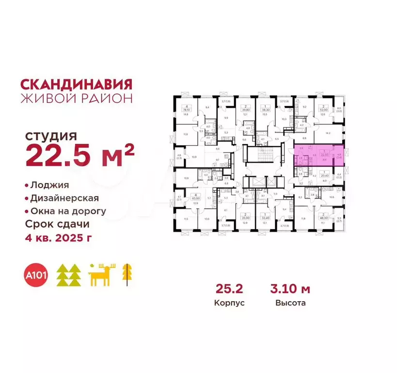 Квартира-студия, 22,5 м, 11/17 эт. - Фото 1