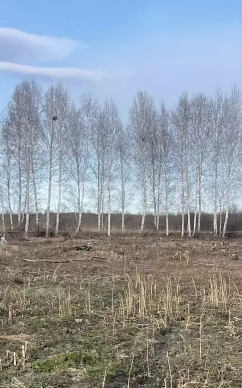 Участок в Тюменская область, Тюмень Салют СНТ, ул. Яблоневая (17.0 ... - Фото 0
