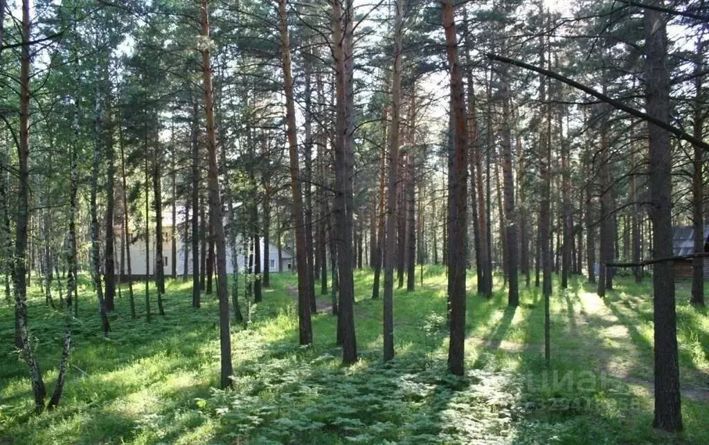 Участок в Новосибирская область, Ордынский район, с. Кирза  (3.0 сот.) - Фото 2