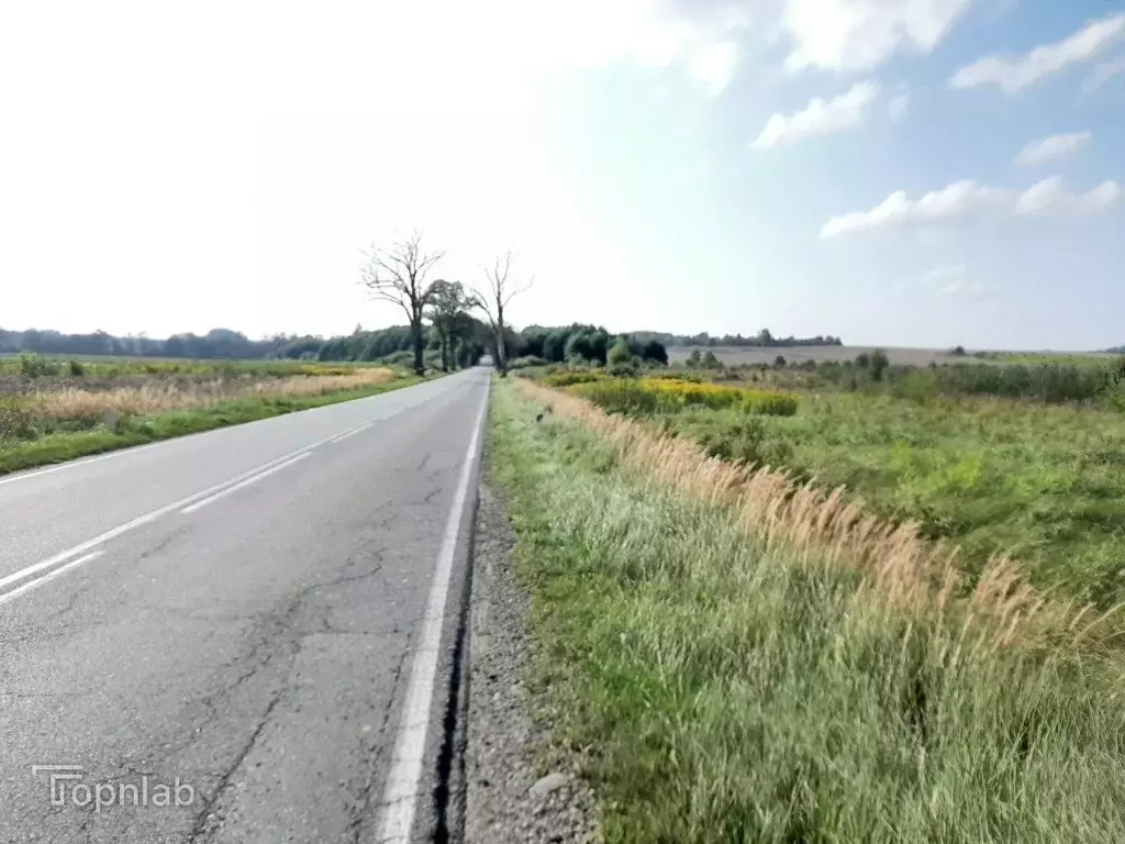 Участок в Калининградская область, Зеленоградский муниципальный округ, ... - Фото 1