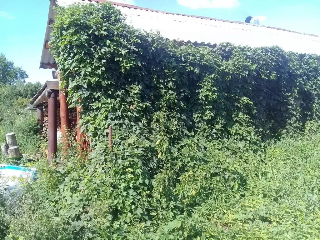 Дом в Свердловская область, Богданович муниципальный округ, с. ... - Фото 2