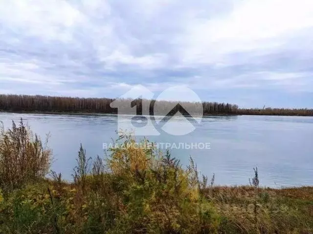 Участок в Новосибирская область, Колыванский район, Печать СНТ 1 (8.0 ... - Фото 1