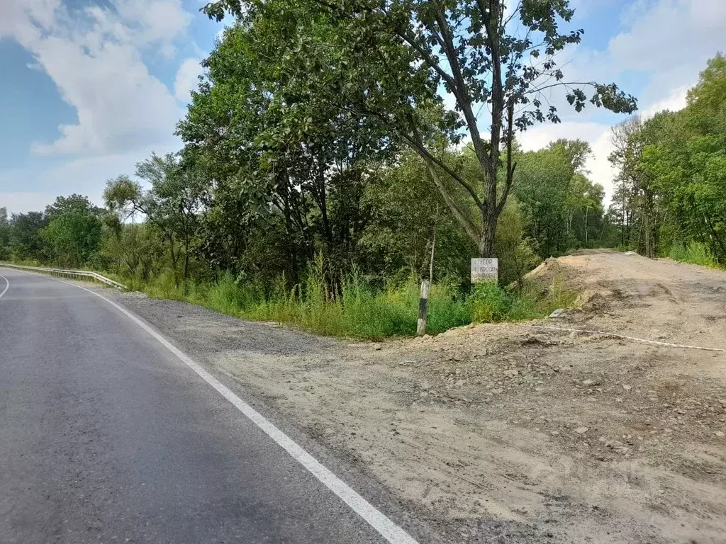 Участок в Хабаровский край, Хабаровский район, Мичуринское с/пос, с. ... - Фото 2