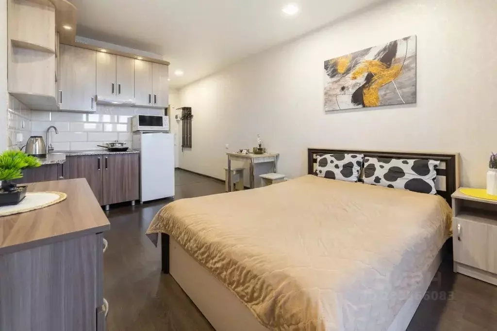 Студия Алтайский край, Барнаул просп. Строителей, 18 (24.0 м) - Фото 0