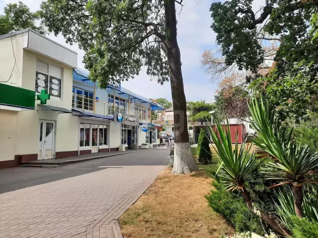 Помещение свободного назначения в Краснодарский край, Геленджик ... - Фото 1