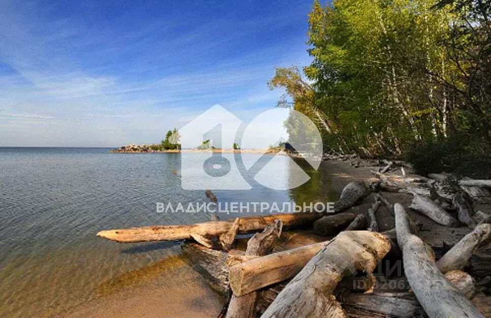 Участок в Новосибирская область, Искитимский район, Быстровский ... - Фото 1