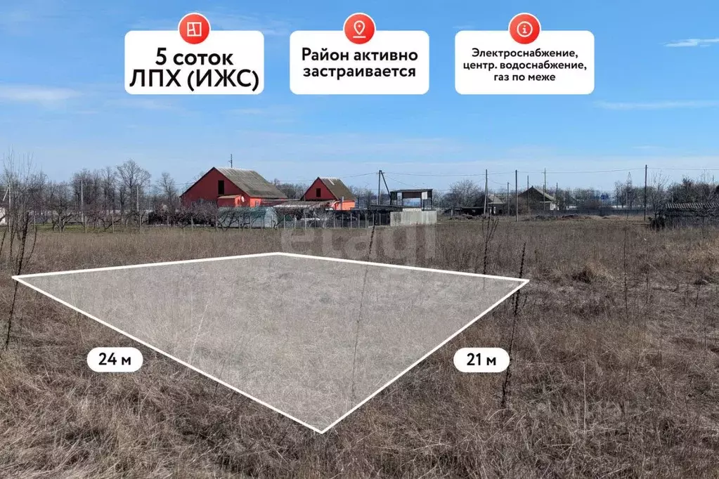 Участок в Краснодарский край, Темрюкский район, Краснострельское ... - Фото 1