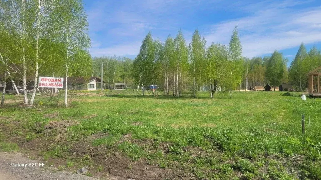 Участок в Новосибирская область, Новосибирский район, Станционный ... - Фото 1