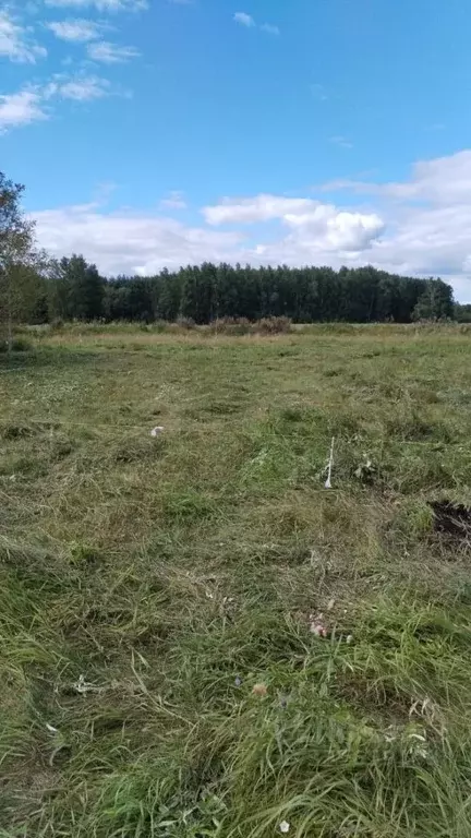 Участок в Омская область, Омский район муниципальный округ 3/1 (10.0 ... - Фото 1